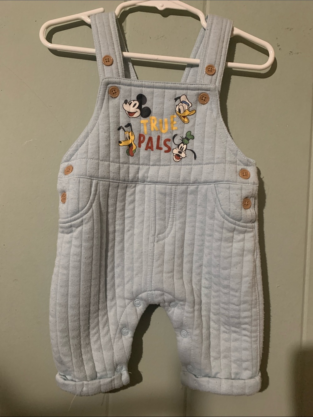 Disney Light Blue Quilted 'True Pals' Overalls